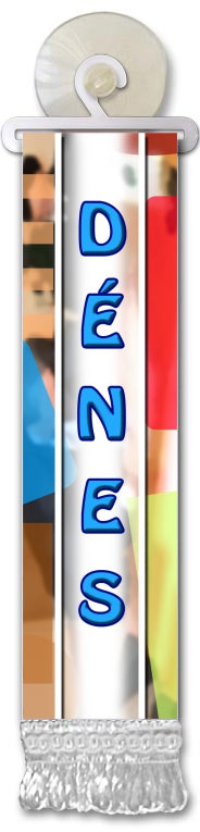 Mini Flag with Name A-E