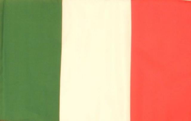 Handheld Car Flag (30x45cm)